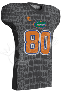 Sublimated Football Jersey - Patriots Style (Special)