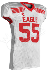 Sublimated Football Jersey - Patriots Style (Special)